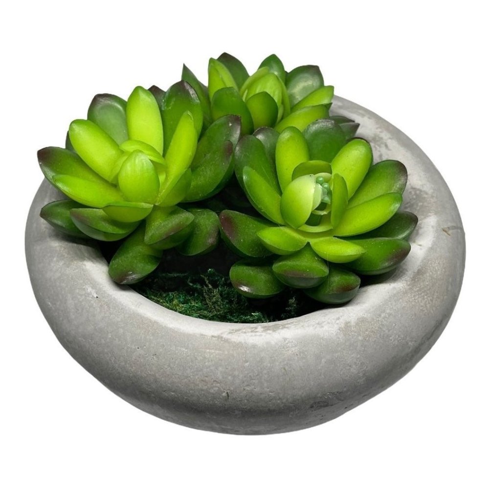 Artificial Succulent In Planter Pot